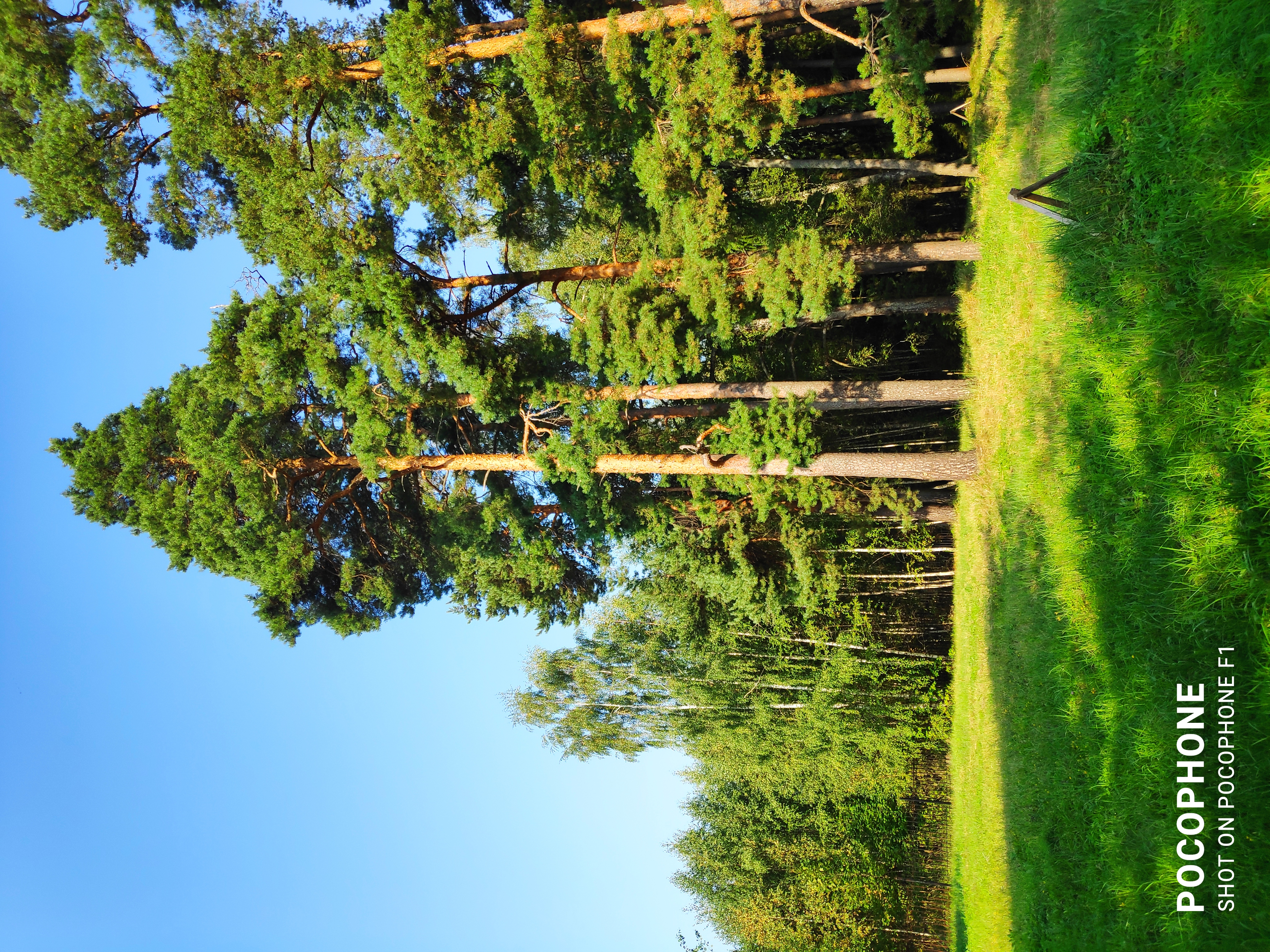 Фото Усадьба Богданово