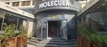 Molecula bar and more (Túrkistan kóshesi, 8) ، مقهى