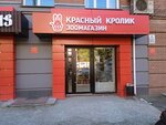 Красный кролик (ул. Ольги Жилиной, 60, Новосибирск), зоомагазин в Новосибирске