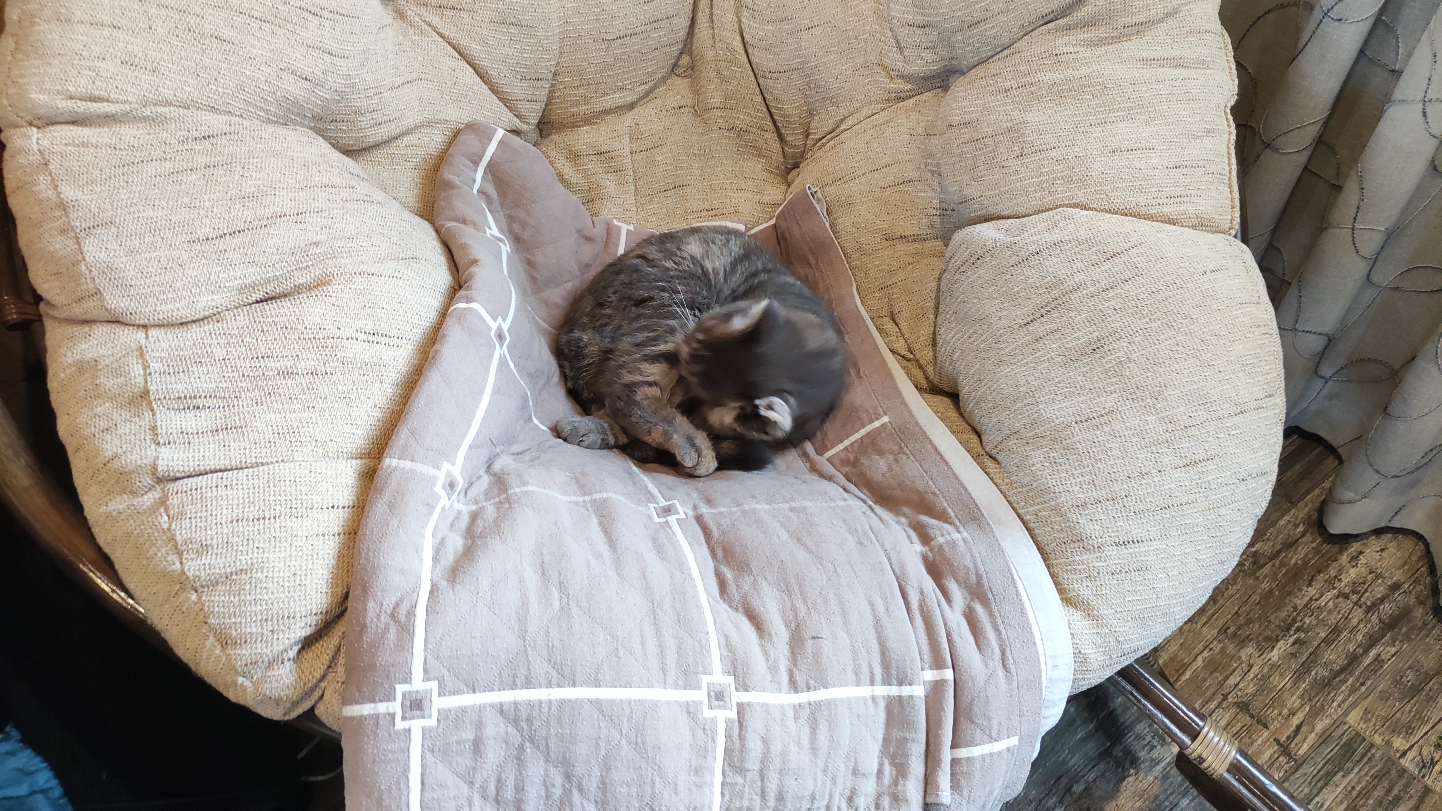 Фото Барские Хоромы