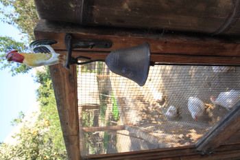 Фото Refugio de Santiago Ecolodge