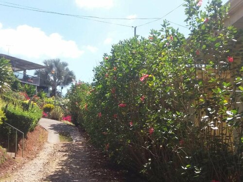 Гостиница La Princesa Hotel в Провинции Сан-Хосе