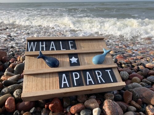 Внешний вид отеля Whale apart в Светлогорске, фото 2