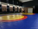 Olimpiec (Severnaya ulitsa, 2А), sports school
