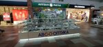 Авс Оптика (Kalinina Avenue, 15с1) ، متجر أدوات بصرية