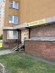 Intella school (ulitsa Sofyi Perovskoy, 44/2), tutoring