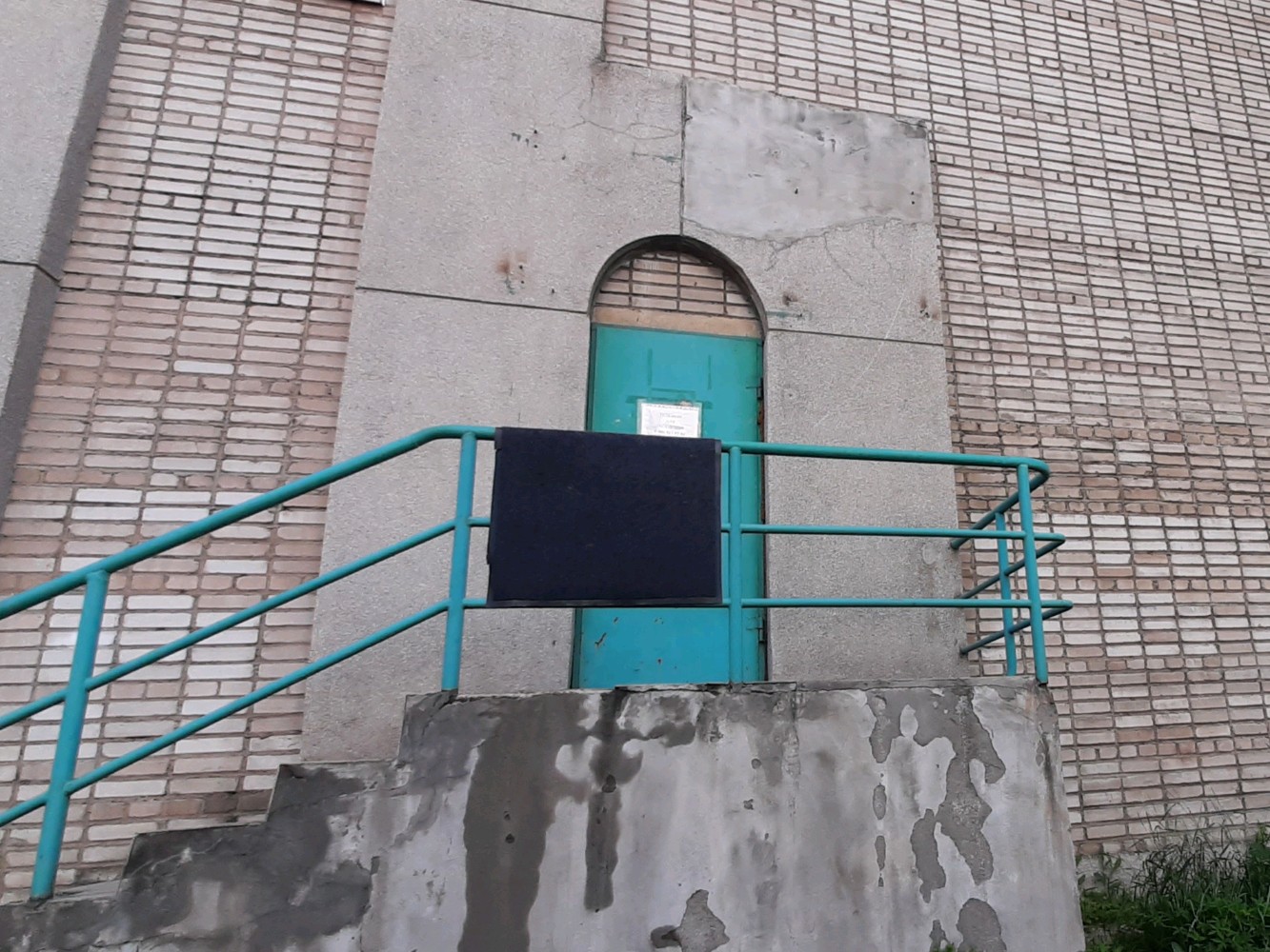 Фото Звездочка