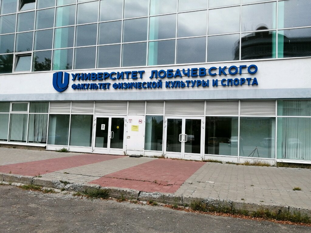 Дельфин просп гагарина 25 нижний новгород фото