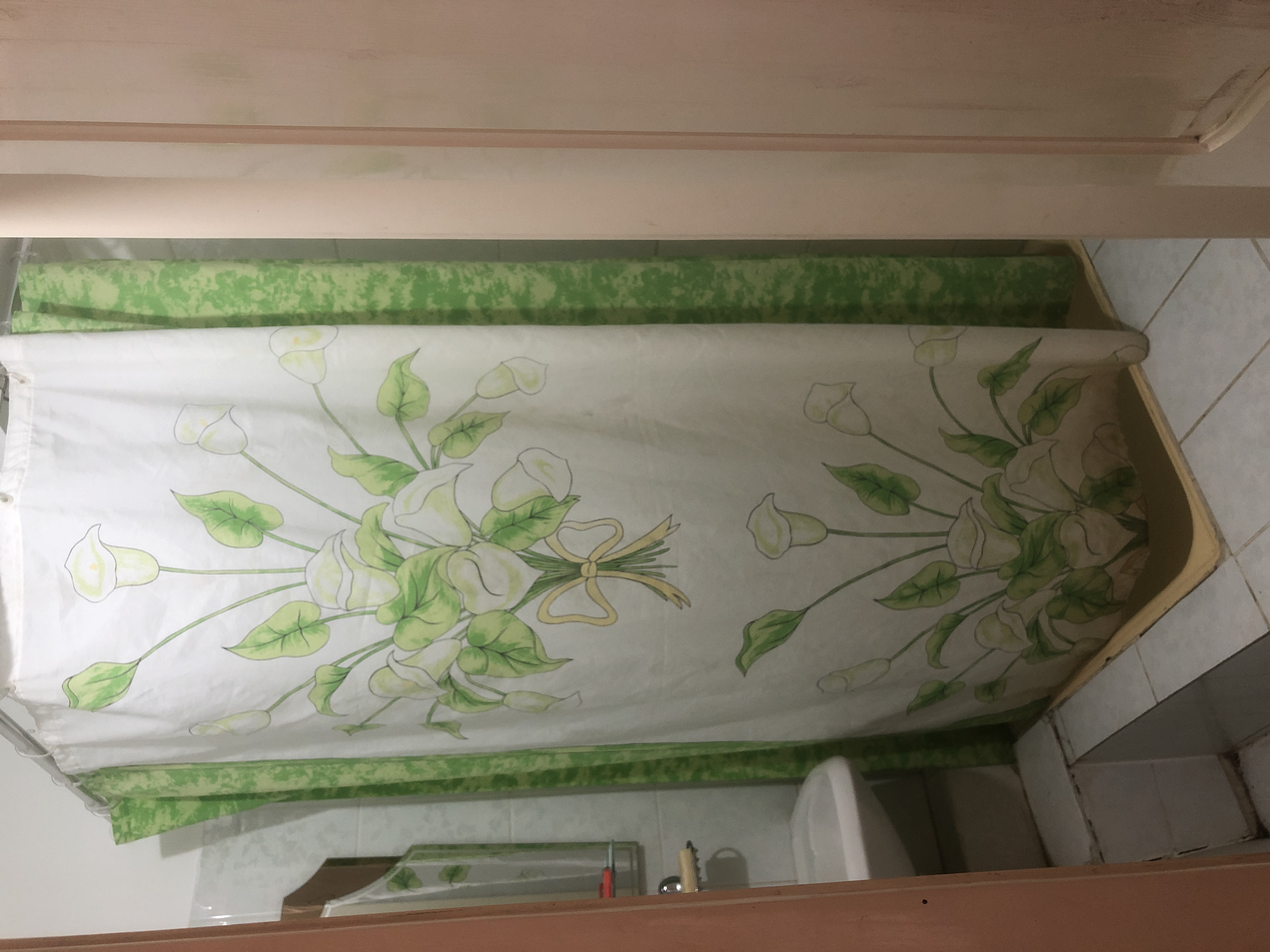 Фото Сарыарка