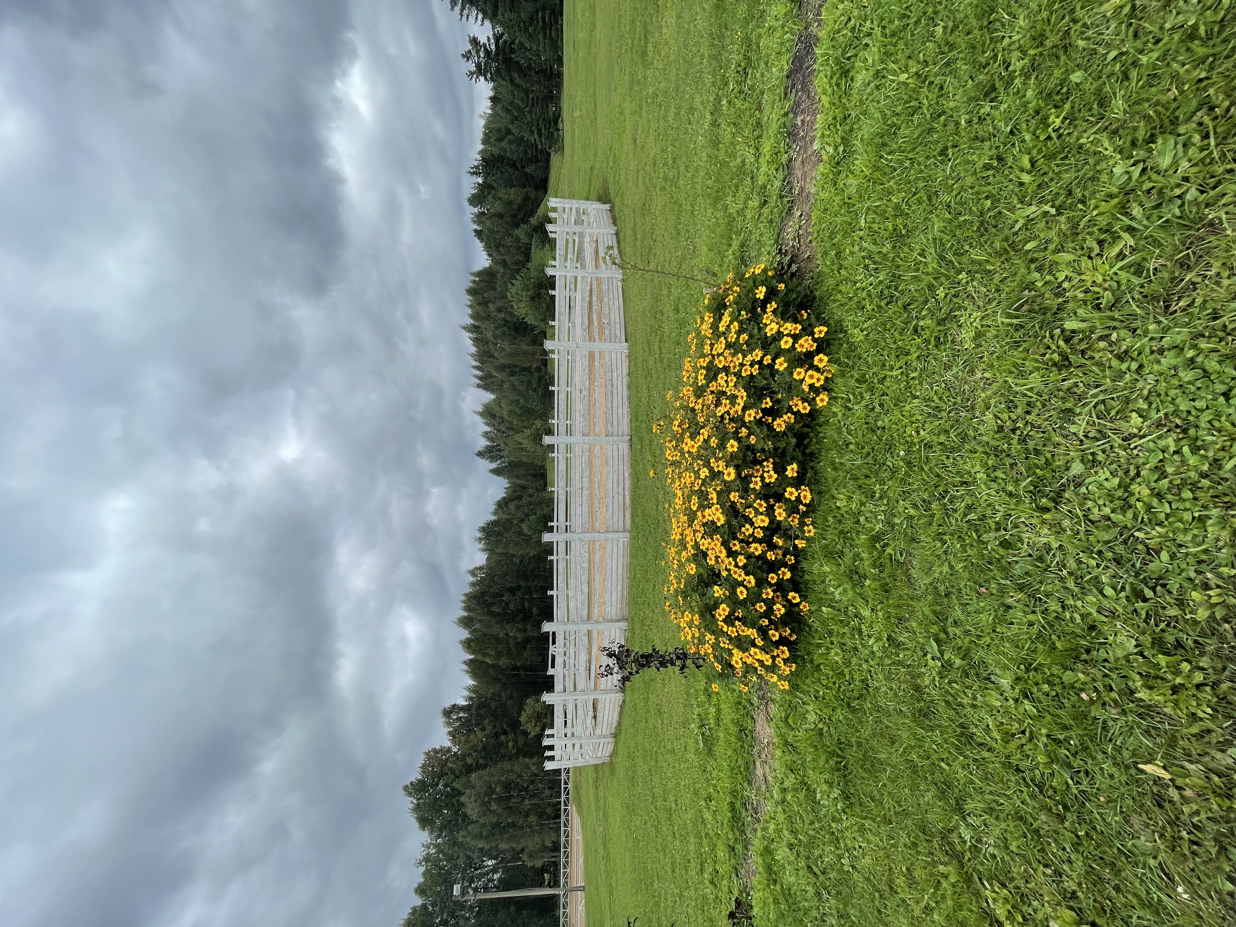 Фото Конный Двор