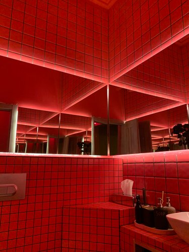 Жалаңаш секс робот Рокси