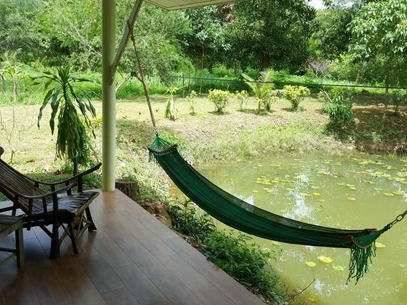 Hotel Kohmak Riverside Resort, Earth, photo