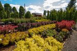Zelenaya Moskva (derevnya Kryuchkovo, 50), garden center