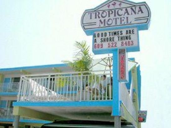 Фото Tropicana Motel