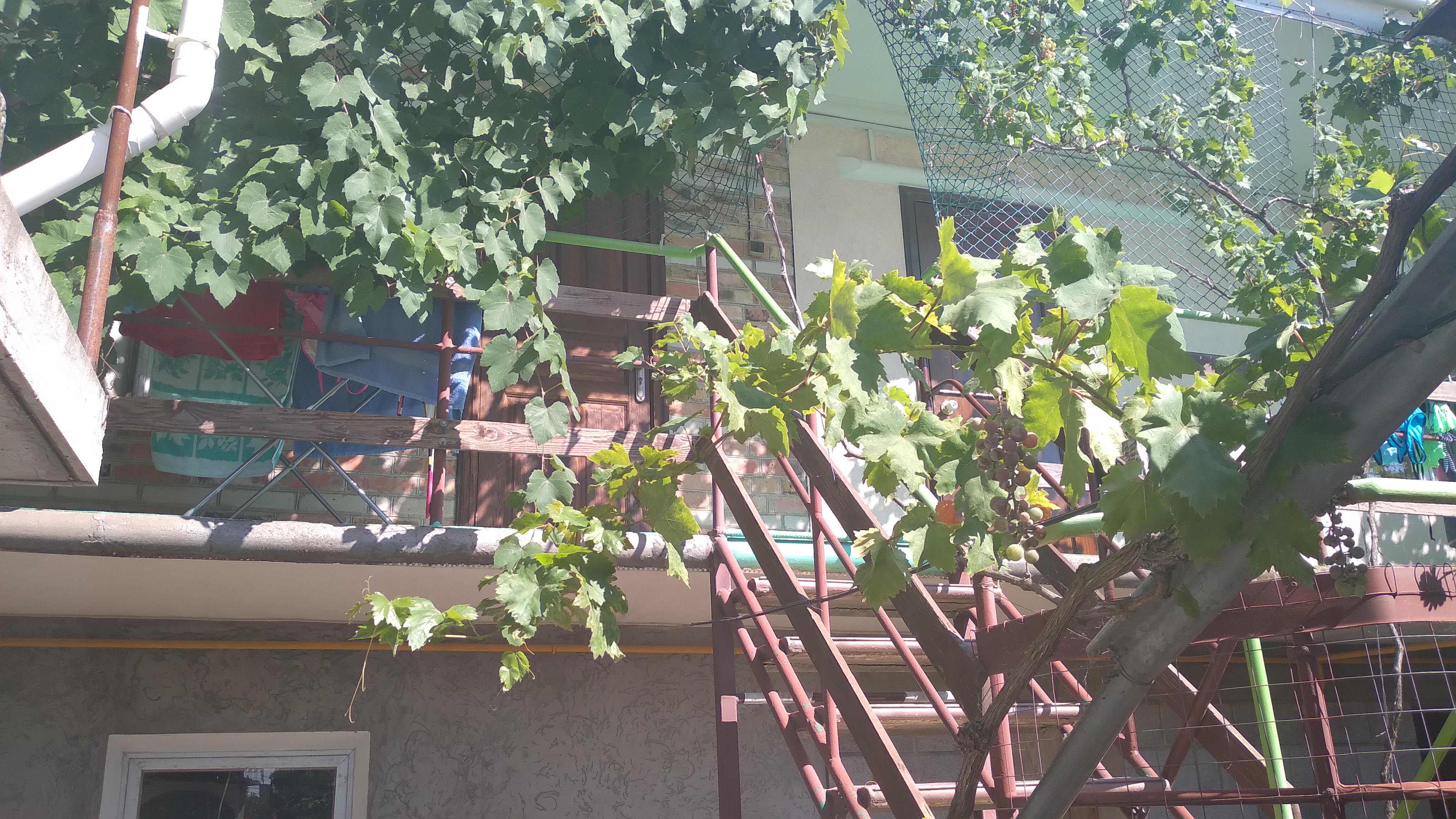 Фото Оберег