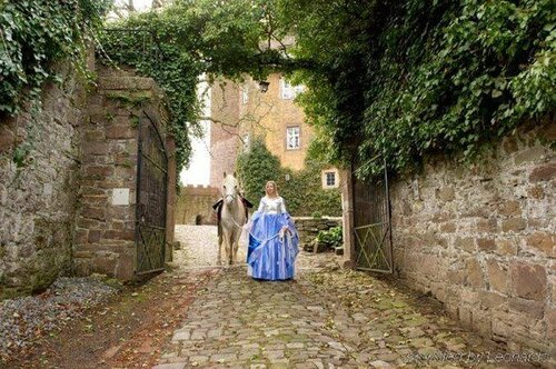 Внешний вид отеля Hotel Burg Trendelburg в Трендельбурге, фото 4