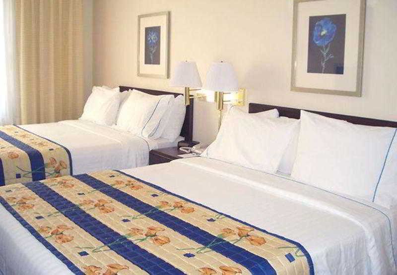 Фото SpringHill Suites Phoenix Airport/Tempe