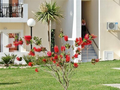 Гостиница Sunset Suites