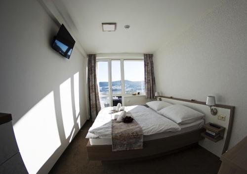 Фото Hotel Star Lipno