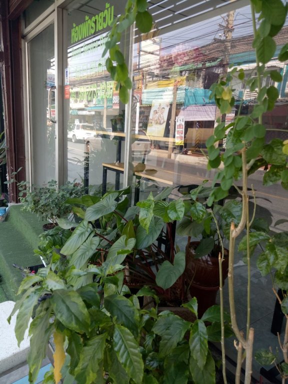 Фото D House Hostel