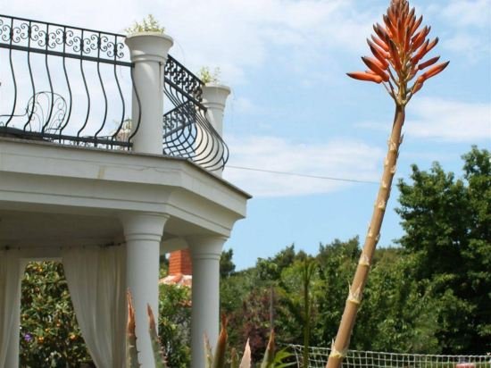 Фото Villa Mandolina Apartments