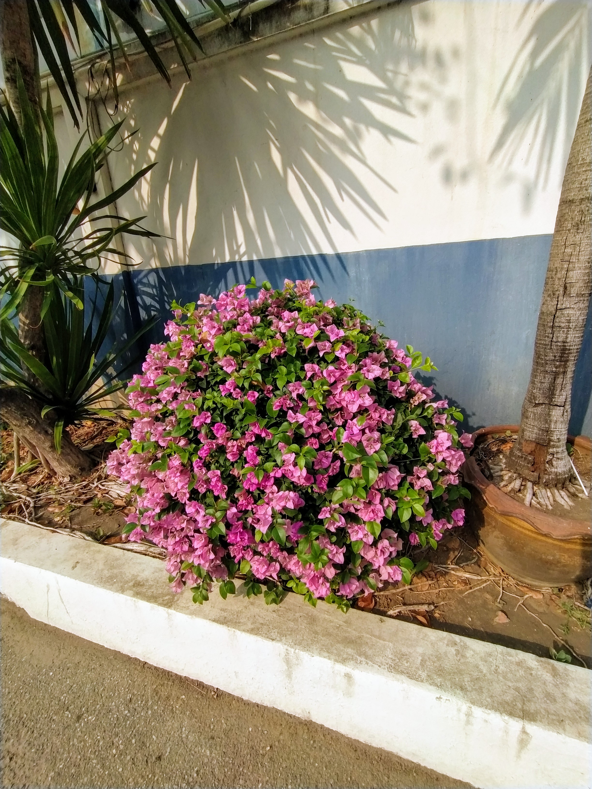 Фото Caesar Palace Hotel