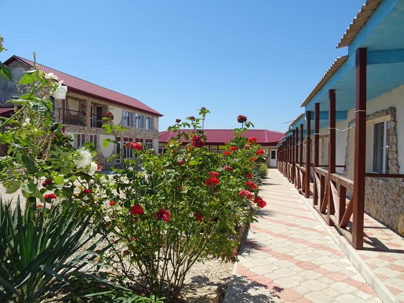 Фото ШаНель