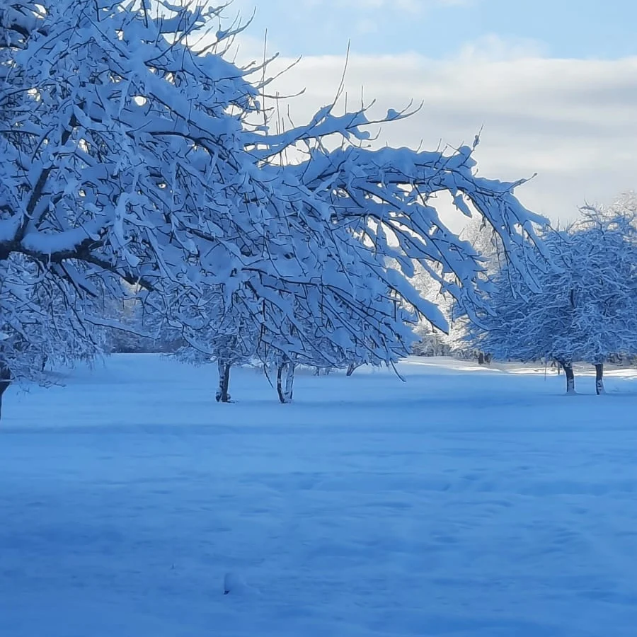 Фото Усадьба Заповедная