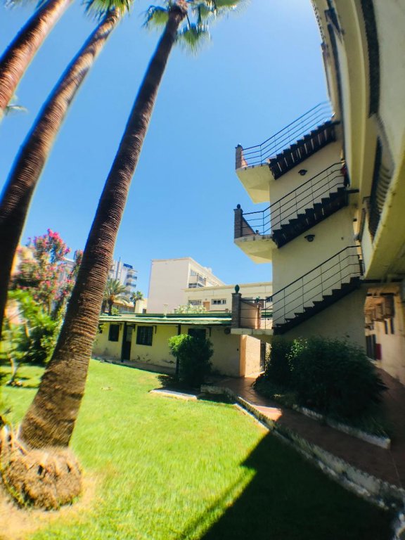 Фото Hotel Los Jazmines