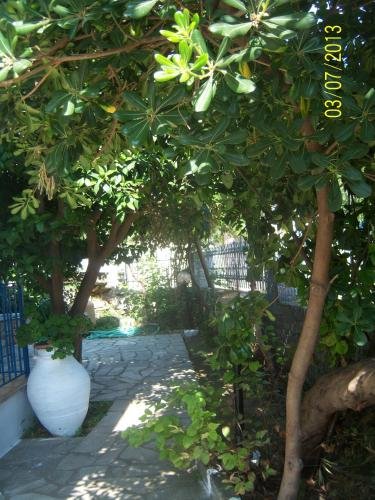 Фото Smile Stella Studios