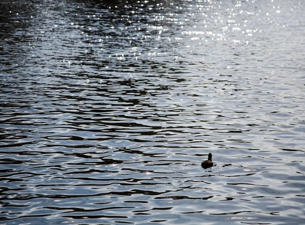 Фото Sweets - Kinkerbrug