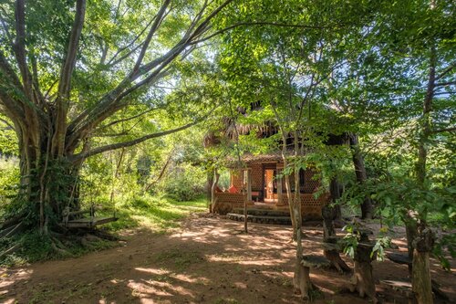 Гостиница Banyan Camp