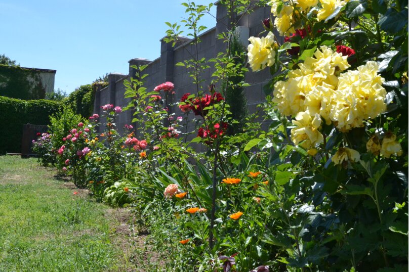 Фото Солнечный домик