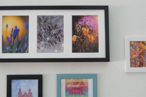 Фото Rabbit Room