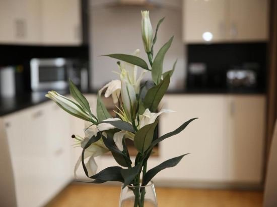 Фото Lets Edinburgh