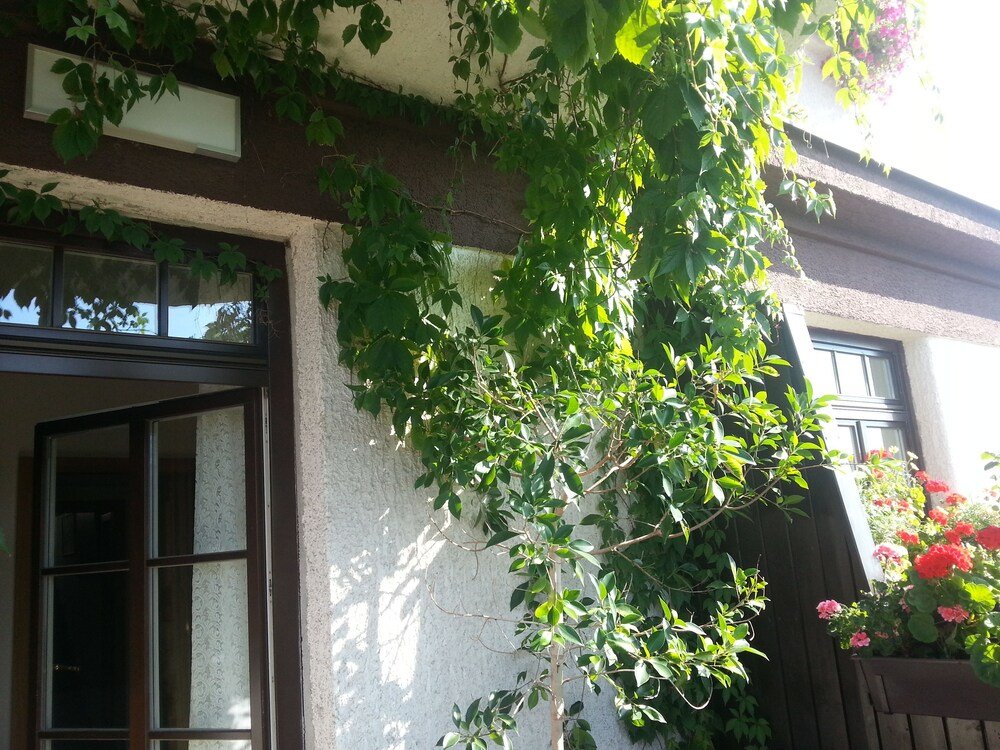 Фото Antik Hotel Sofia Litomysl