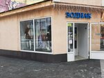 Зодиак (Волжская ул., 23, Саратов), магазин белья и купальников в Саратове