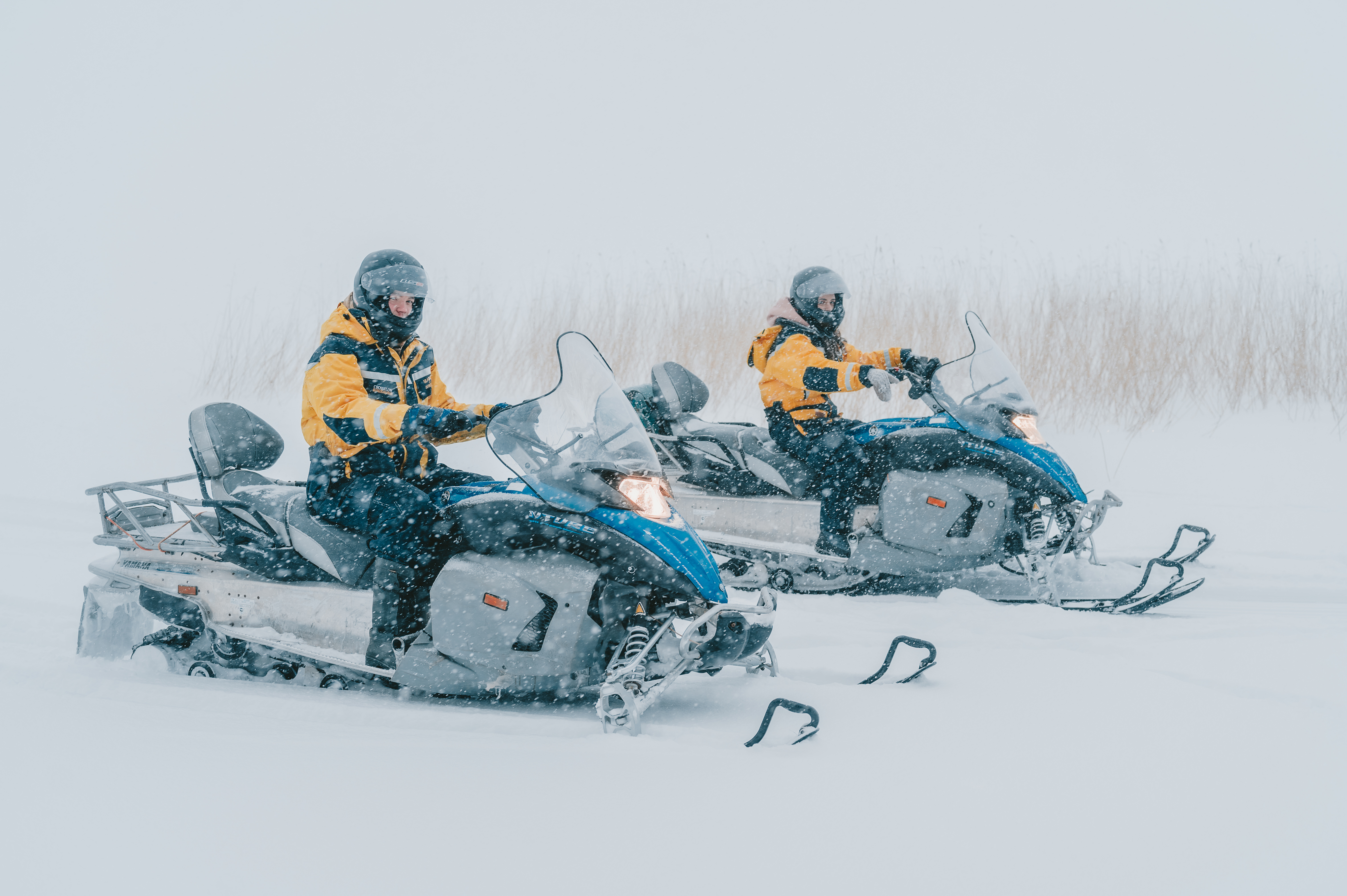 Фото Суйсарь