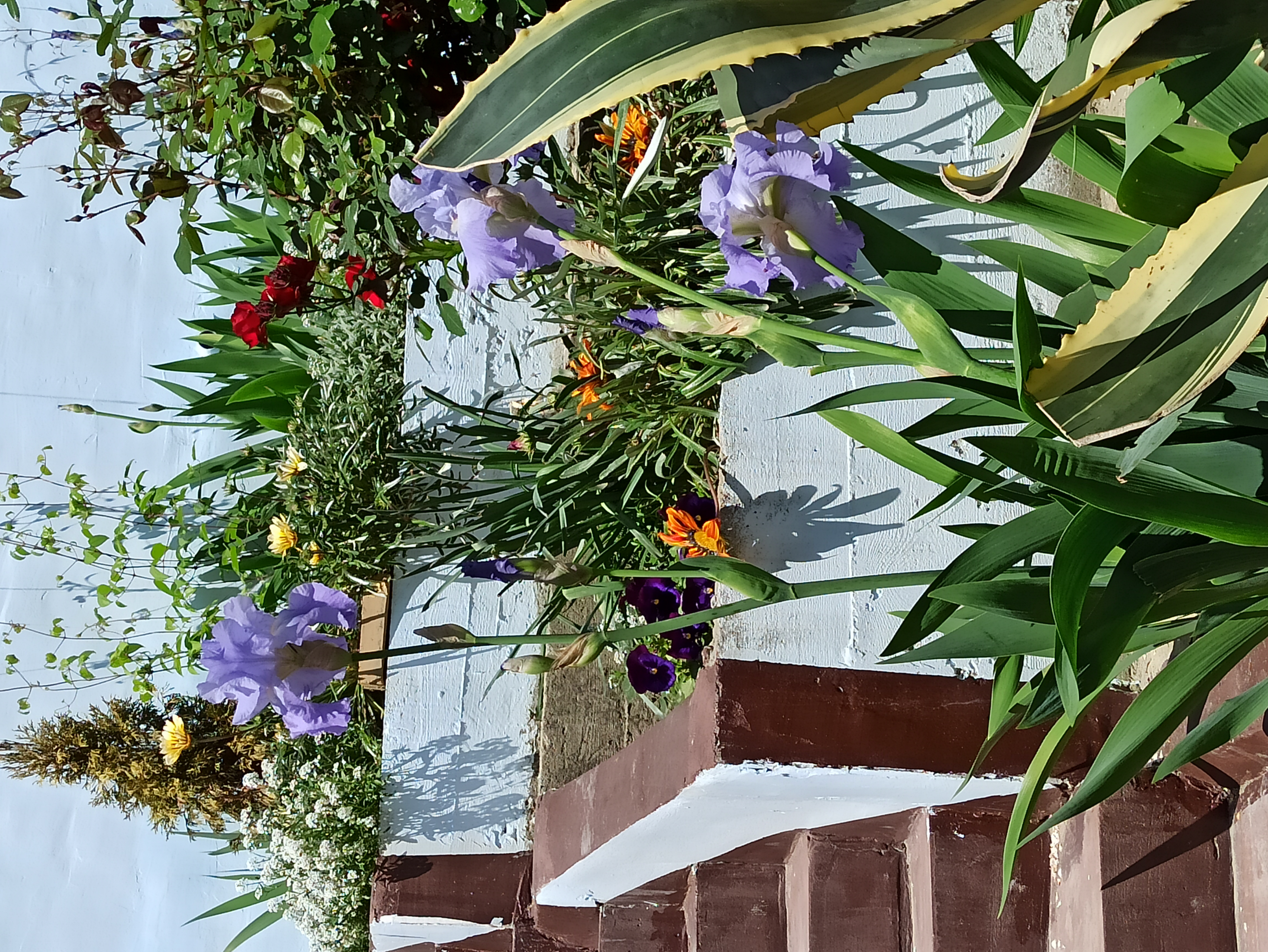 Фото Волгарь