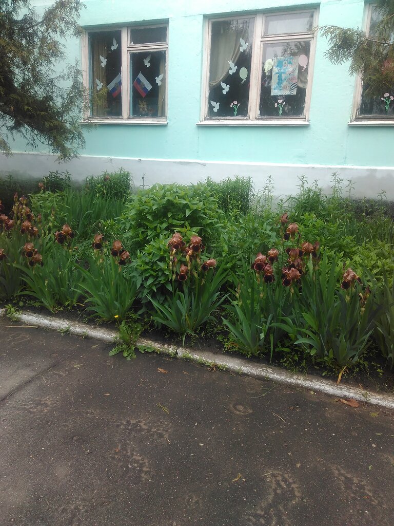 School Левенская основная общеобразовательная школа, Bryansk Oblast, photo