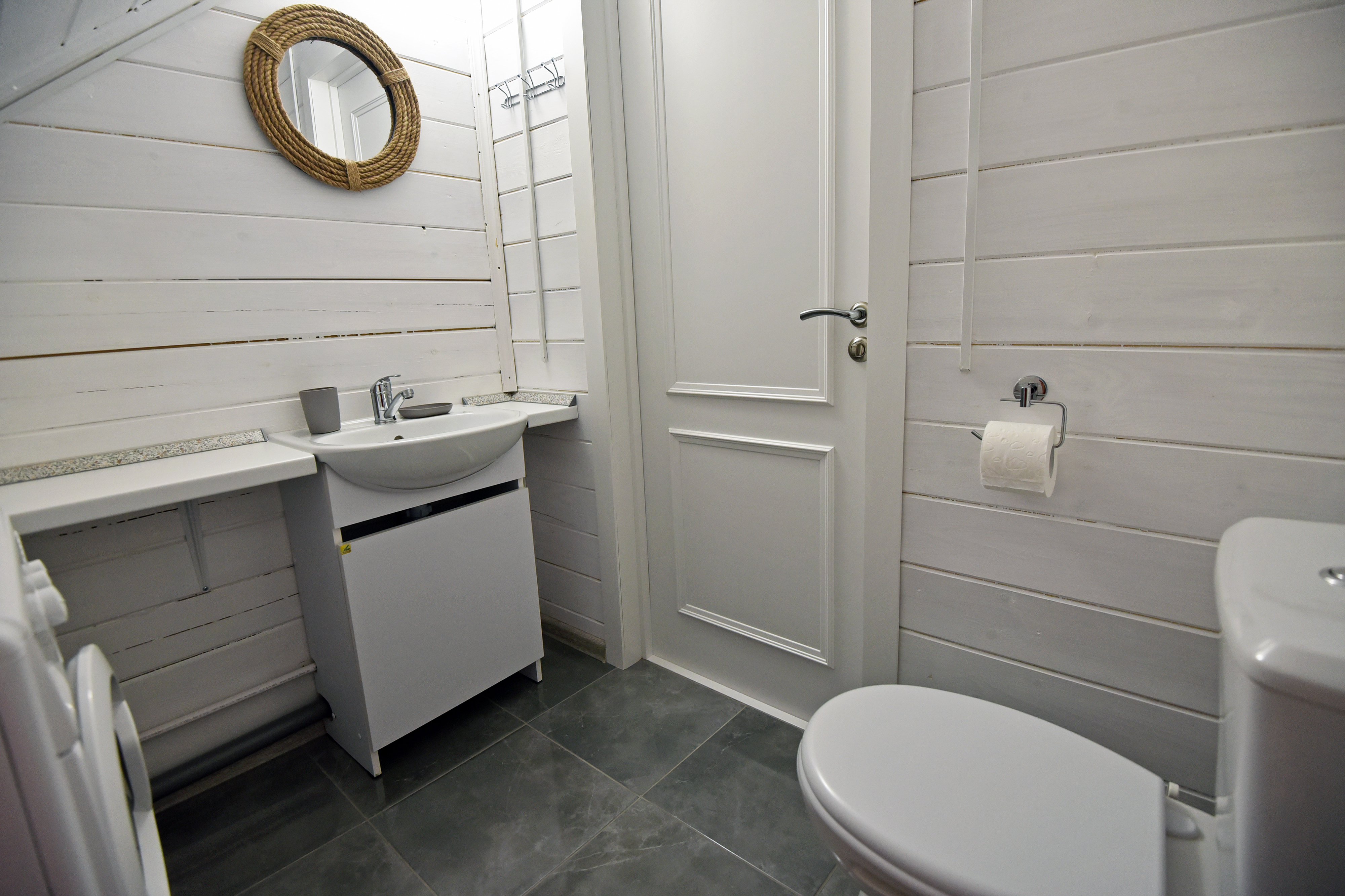 Фото Азовская чайка