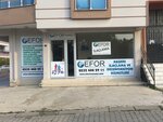 Efor Pest Control (İzmir, Kemalpaşa, Sekiz Eylül Mah., 92 Sok., 8), disinfection, disinsection, deratization