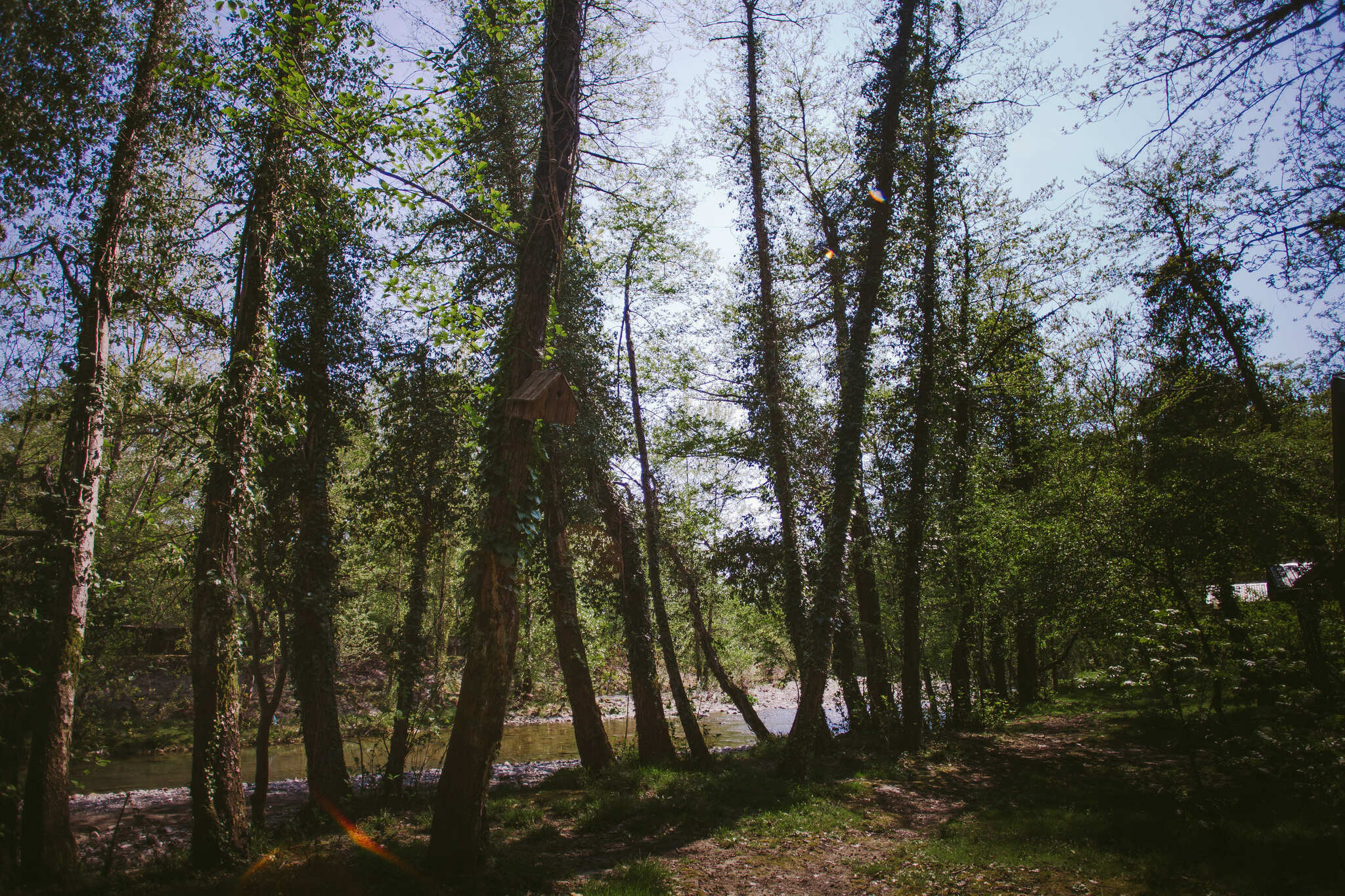 Фото Эко Парк Вотчина