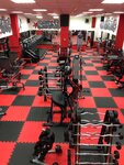 Тренажёрный зал Alpha Male Gym (ulitsa Igorya Shapovalova, 8/2), gimnasio de deportes