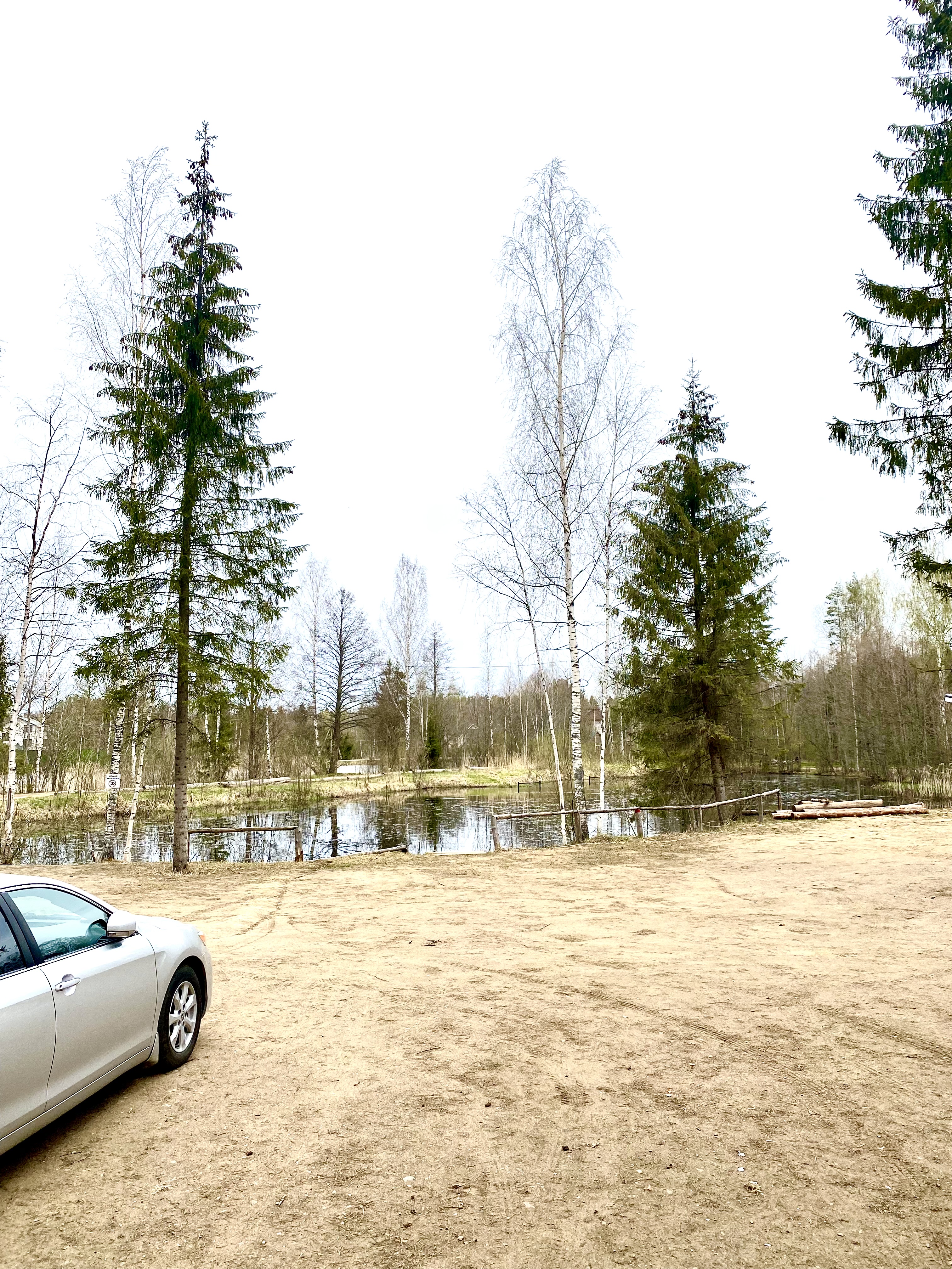 Фото Пикник