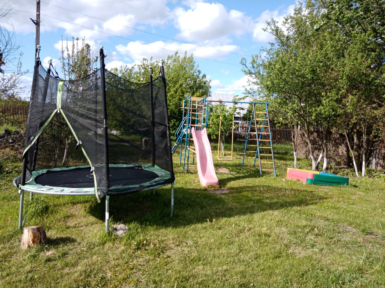 Фото Мальвы