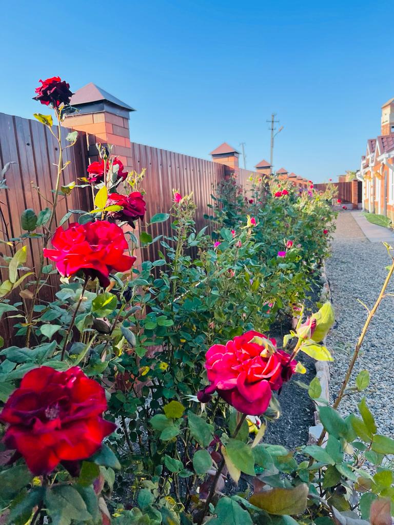 Фото Ясенская коса — Азовская краса