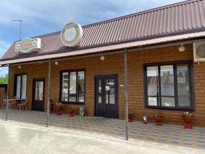 Елена Беркова порно Brazzers