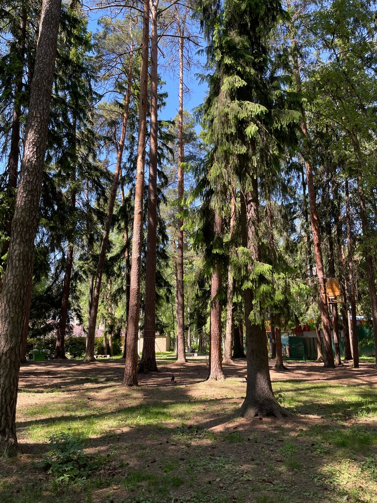 Entertainment center Belochka Park, Zhukovskiy, photo