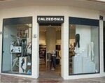 Calzedonia (Valencia, Plaza Ayuntamiento, 14), clothing store